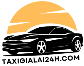 Taxi gia lai 24h