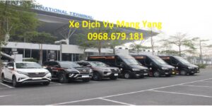 xe dịch vụ mang yang