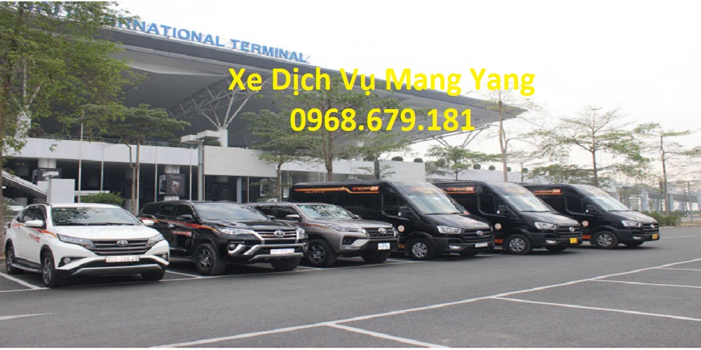 xe dịch vụ mang yang